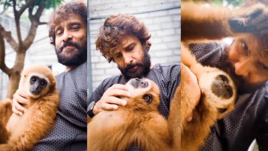 लार-गिब्बन-बंदर-संग-मस्ती-चियान-विक्रम को-पड़ी-भारी,-कसा-शिकंजा-तो-24-घंटे-के-भीतर-डिलीट-की-रील - Apex News India लार-गिब्बन-बंदर-संग-मस्ती-चियान-विक्रम को-पड़ी-भारी,-कसा-शिकंजा-तो-24-घंटे-के-भीतर-डिलीट-की-रील