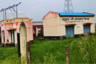 आगरा में 1.60 करोड़ की गोशाला में गायें नहीं, दो फीट घास; दो साल से बंद पड़ा दरवाजा