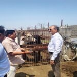 हाथरस में गोवंश की मौतों के बाद हरकत में आया प्रशासन, सीडीओ ने प्रभावित गांवों का दौरा कर दिए टीकाकरण के निर्देश