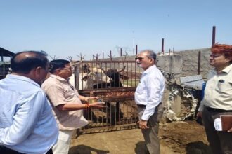हाथरस में गोवंश की मौतों के बाद हरकत में आया प्रशासन, सीडीओ ने प्रभावित गांवों का दौरा कर दिए टीकाकरण के निर्देश