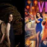 बॉक्स ऑफिस पर 'वाइब' का दबदबा बरकरार, दूसरे दिन 'दायरा' की भी कमाई में उछाल