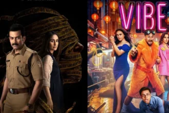 बॉक्स ऑफिस पर 'वाइब' का दबदबा बरकरार, दूसरे दिन 'दायरा' की भी कमाई में उछाल