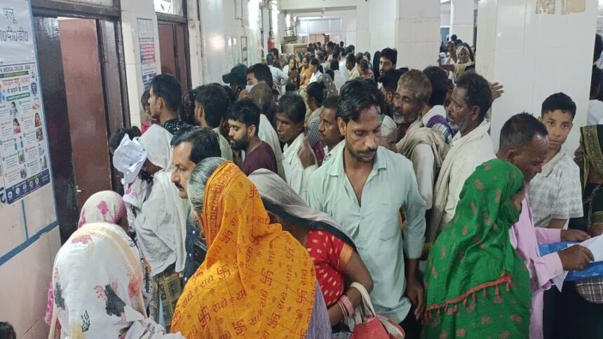 आगरा: एसएन मेडिकल कॉलेज की ओपीडी में उमड़ी भीड़, 4315 मरीज पहुंचे, पर्चा बनवाने में भी छूटे पसीने
