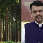 कर्जत पेड़ कटाई विवाद: 32 हजार पेड़, टोरेंट प्रोजेक्ट और फडणवीस का दावा