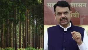 कर्जत पेड़ कटाई विवाद: 32 हजार पेड़, टोरेंट प्रोजेक्ट और फडणवीस का दावा