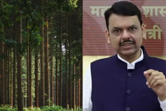 कर्जत पेड़ कटाई विवाद: 32 हजार पेड़, टोरेंट प्रोजेक्ट और फडणवीस का दावा