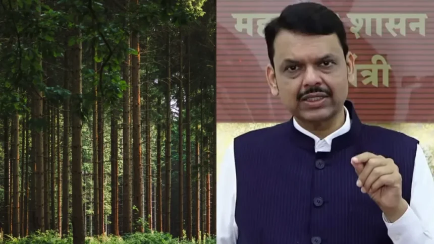 कर्जत पेड़ कटाई विवाद: 32 हजार पेड़, टोरेंट प्रोजेक्ट और फडणवीस का दावा - Apex News India कर्जत पेड़ कटाई विवाद: 32 हजार पेड़, टोरेंट प्रोजेक्ट और फडणवीस का दावा
